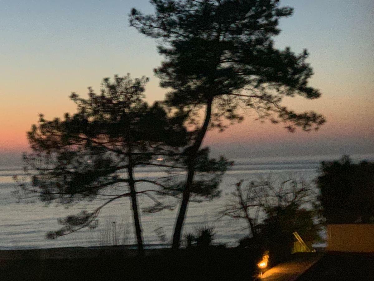 Le Panoramic Arcachon Exterior foto